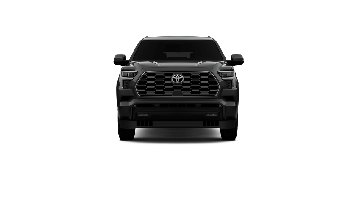 New 2026 Magnetic Gray Metallic Toyota Platinum image 17