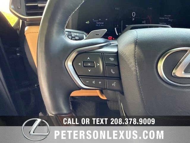 Used 2025 Black Lexus LUXURY image 32