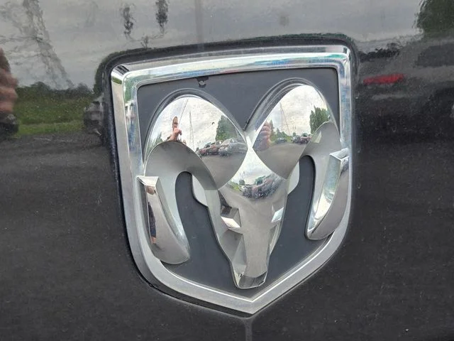 Used 2017 Black Ram Express image 17