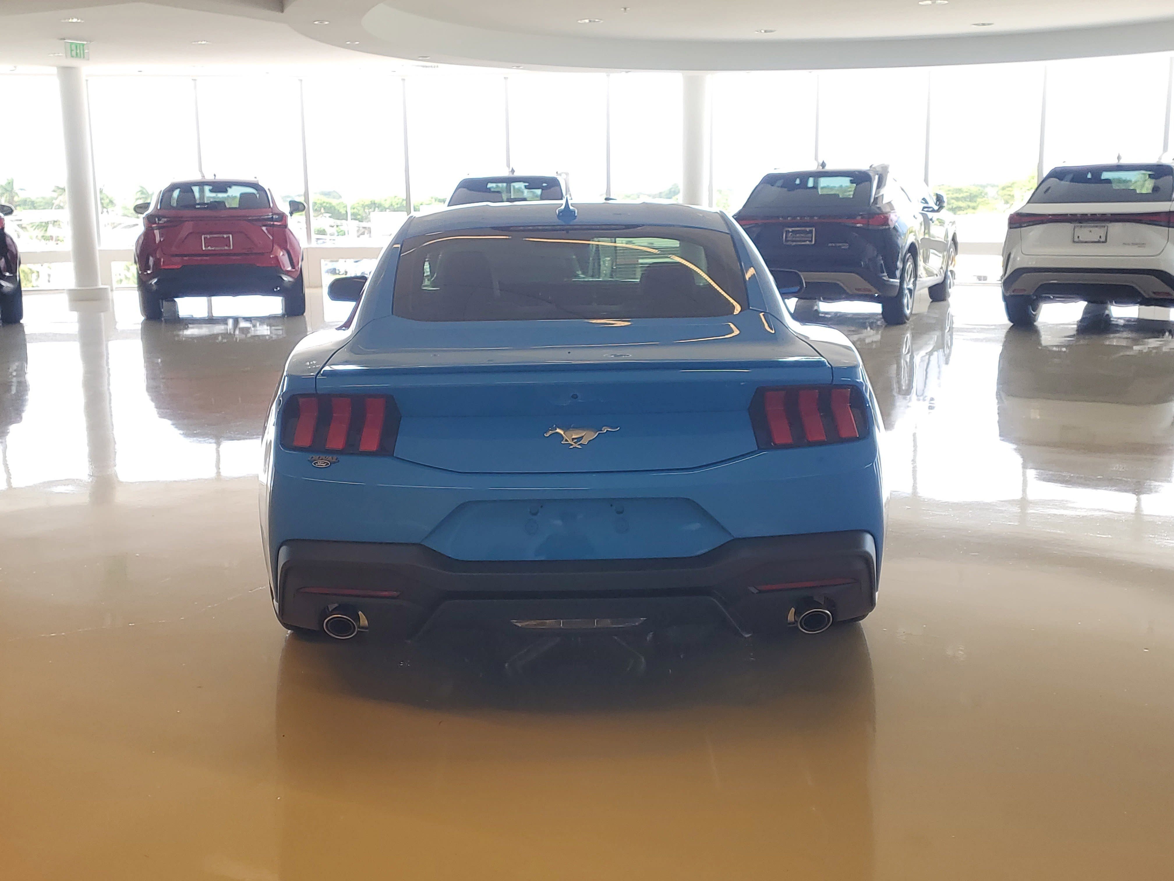 Used 2025 Grabber Blue Metallic Ford EcoBoost Premium image 9