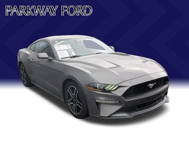 Used 2022 Gray Ford EcoBoost image 3