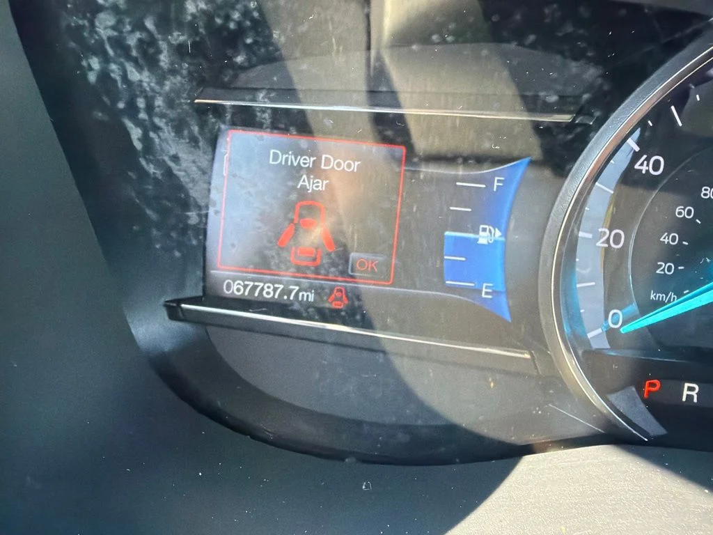 Used 2019 White Ford XLT image 14