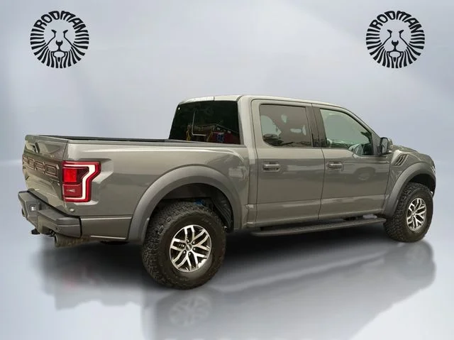 Used 2018 Lead Foot Ford Raptor image 6