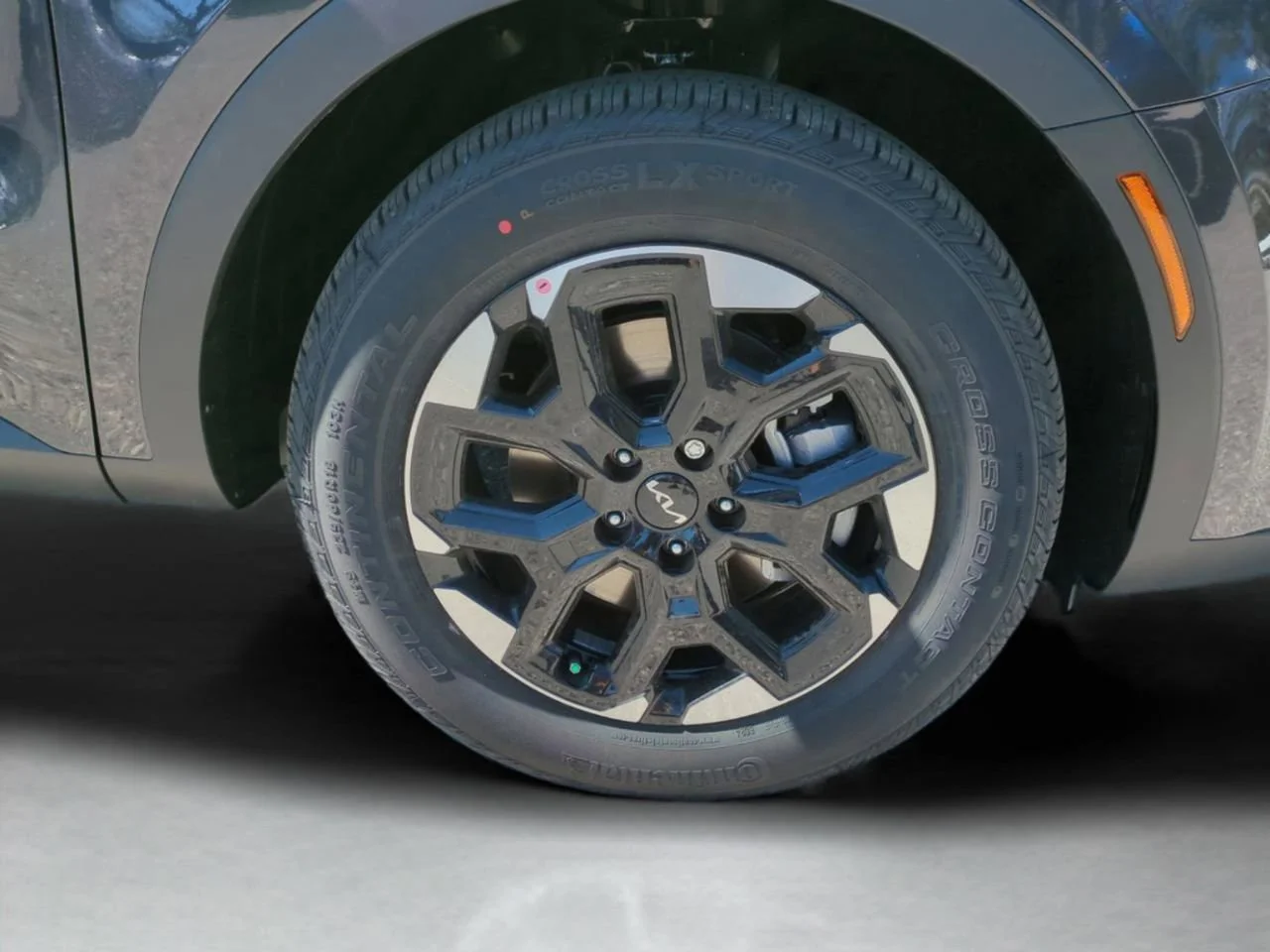 New 2026 Panthera Metal Kia S image 12