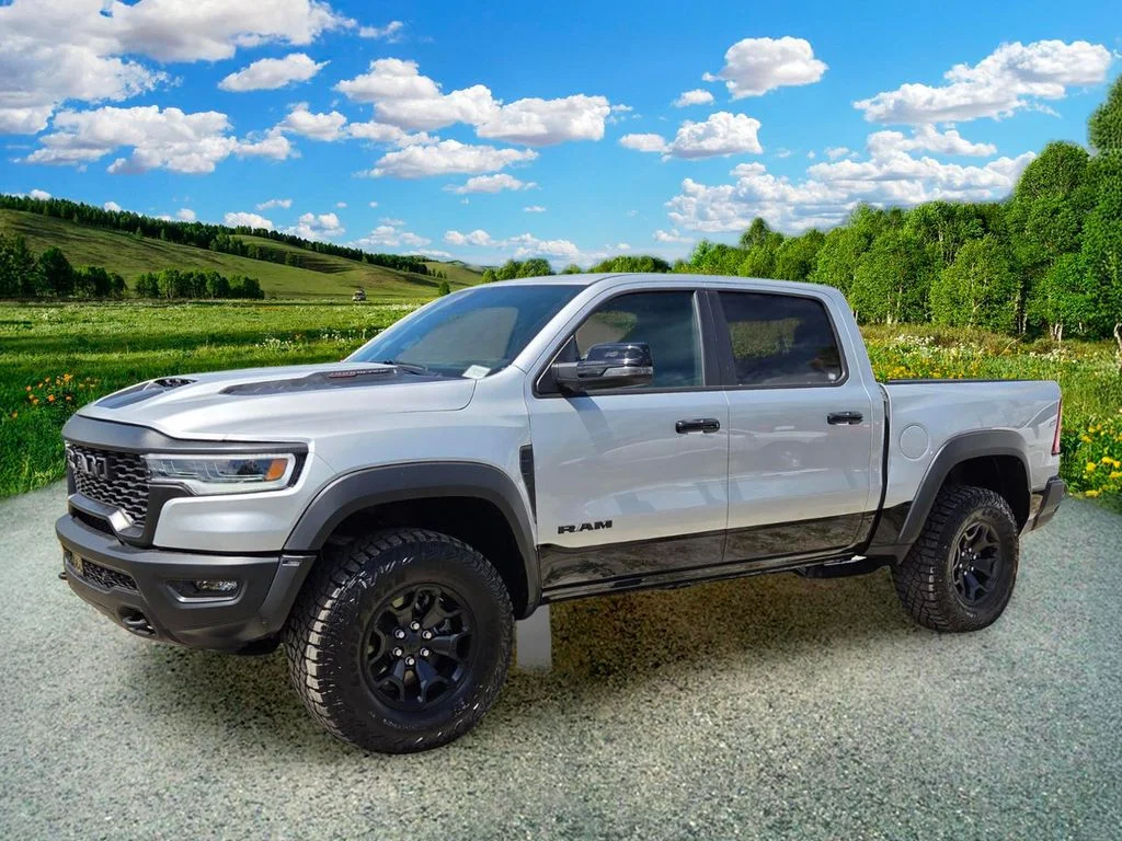 New 2026 Silver Zynith Exterior Paint RAM RHO image 2