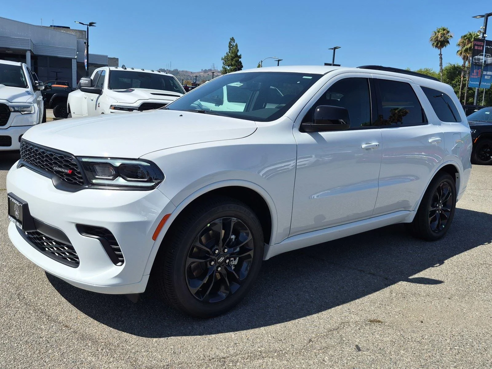 New 2026 White Knuckle Clear-Coat Exterior Paint Dodge GT image 3