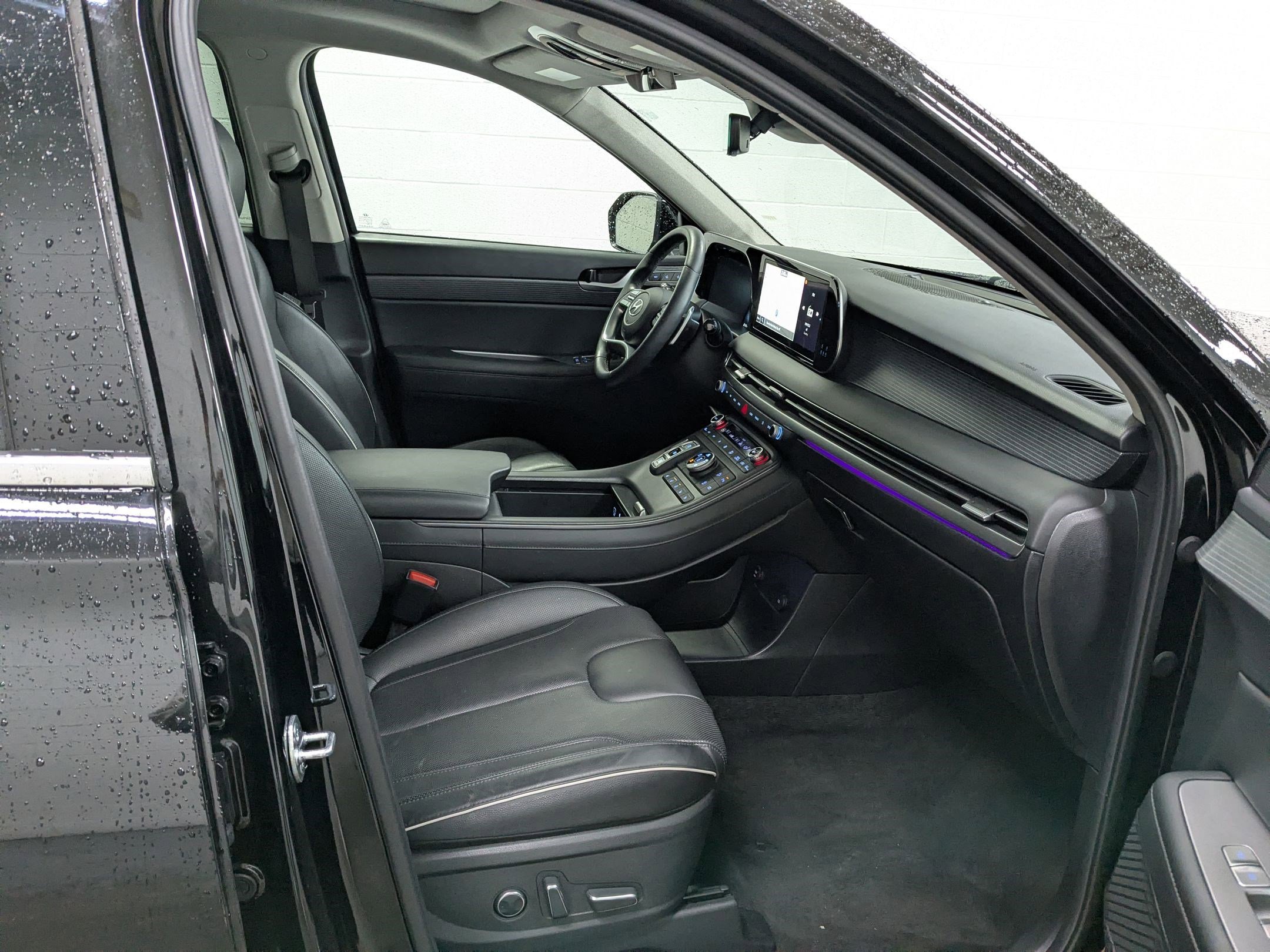 2025 Hyundai Palisade Limited - Photo 35