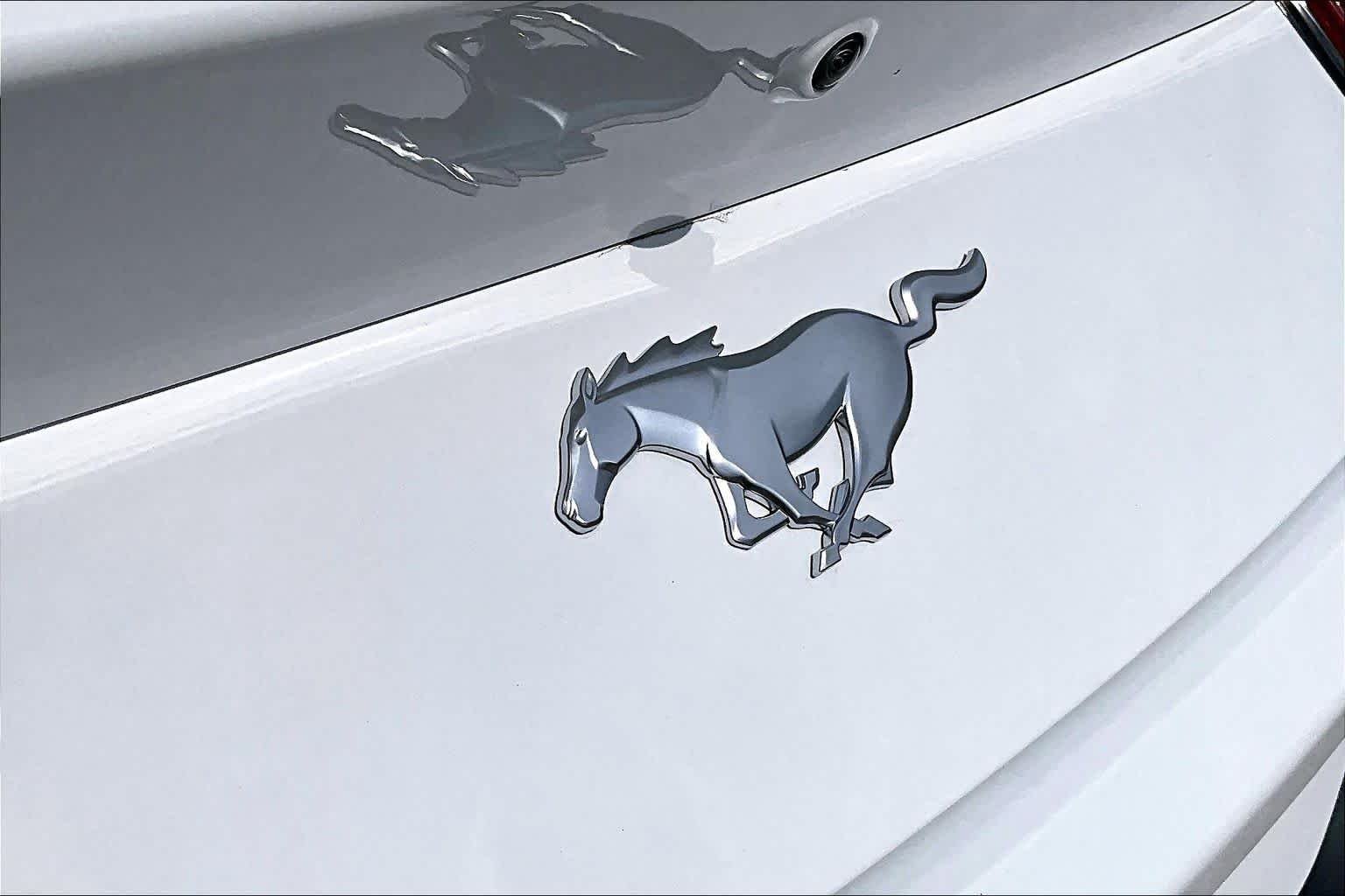 Used 2025 Oxford White Ford EcoBoost image 31