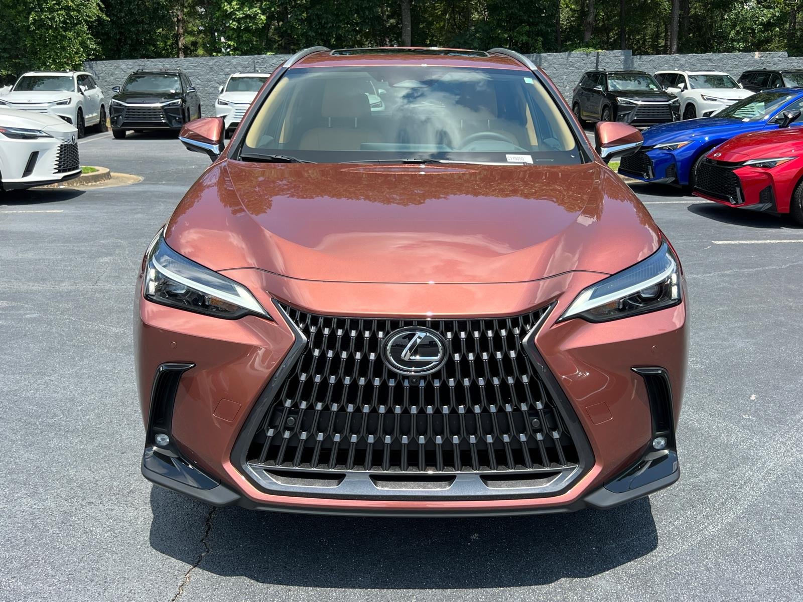 New 2026 Copper Crest Lexus PREMIUM image 2