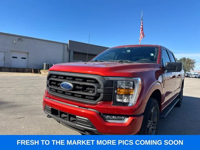 Used 2023 Red Ford XLT image 2