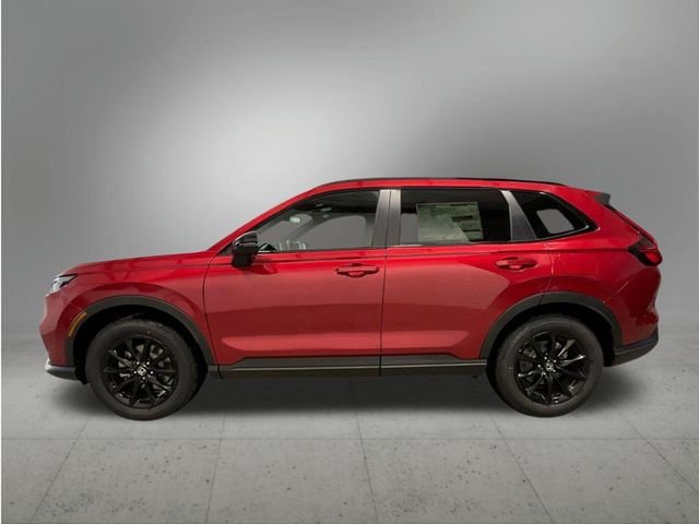 New 2026 Radiant Red Metallic Honda Sport image 2