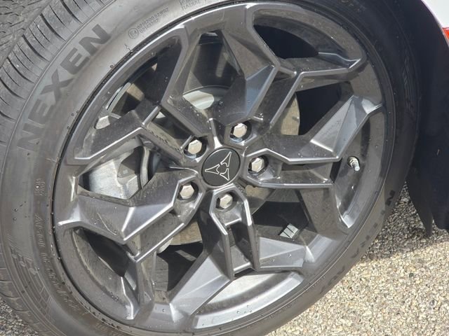 New 2026 White Knuckle Exterior Paint Dodge R/T image 23
