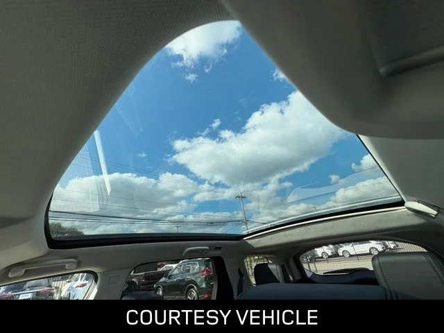2025 Land Rover Discovery Sport S - Photo 30