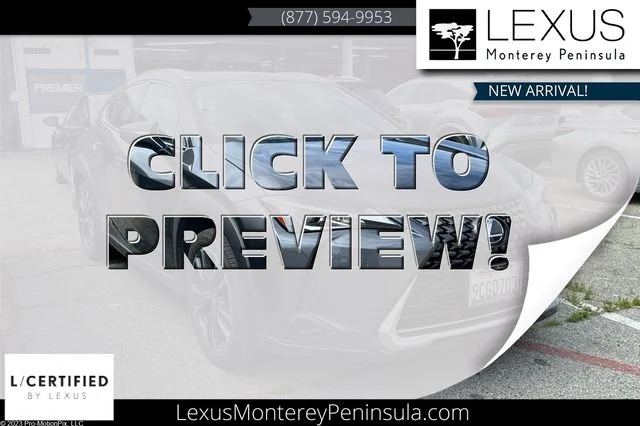 2022 Lexus UX 300h 250h AWD's photo