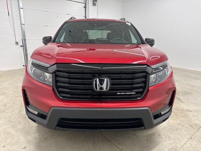Used 2024 Red Honda Black Edition image 2