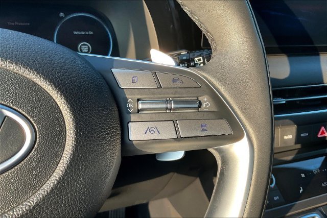 2024 Hyundai Palisade Calligraphy Night Edition - Photo 14