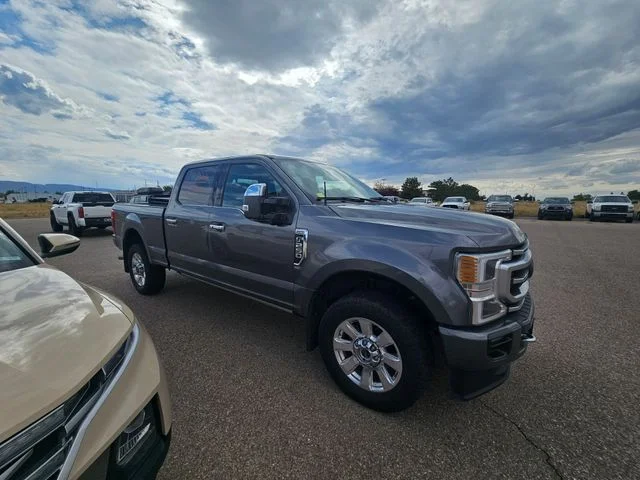 Used 2021 Gray Metallic Ford Platinum image 6