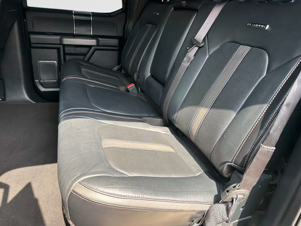 Used 2019 Black Metallic Ford Platinum image 14