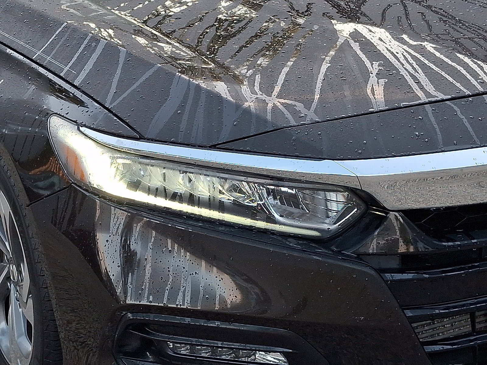 Used 2018 Crystal Black Pearl Honda EX-L 1.5T image 8