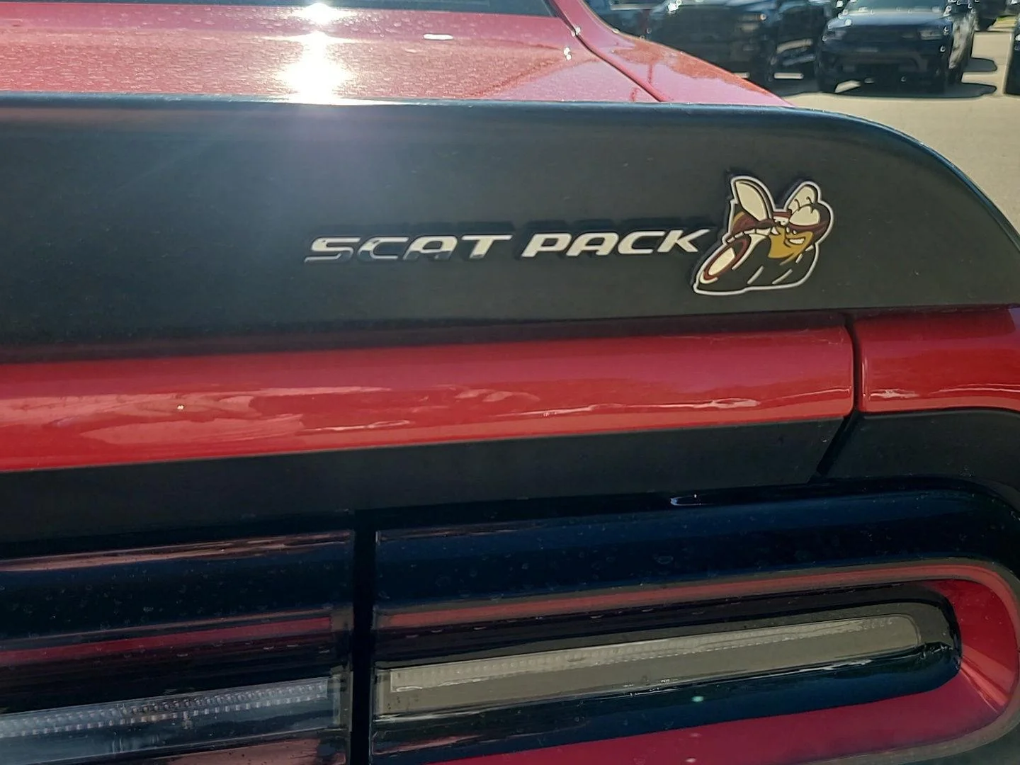 Used 2023 Torred Clearcoat Dodge R/T Scat Pack image 13