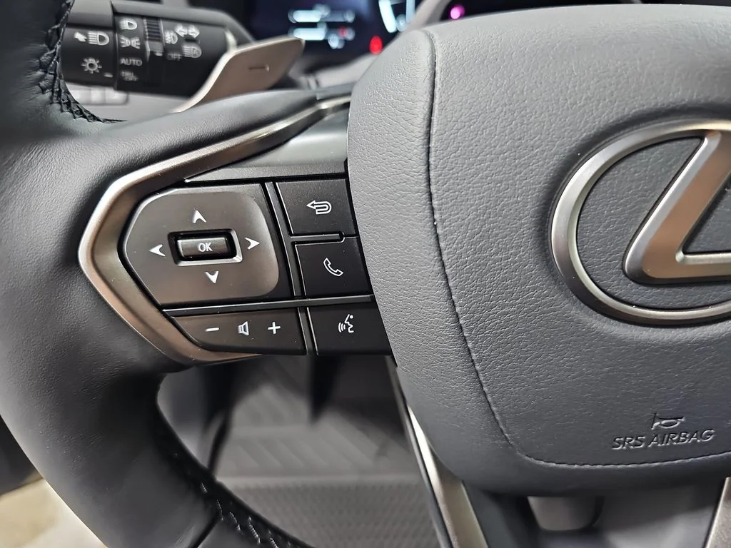 New 2026 Earth and Black Onyx Lexus OVERTRAIL PLUS image 16