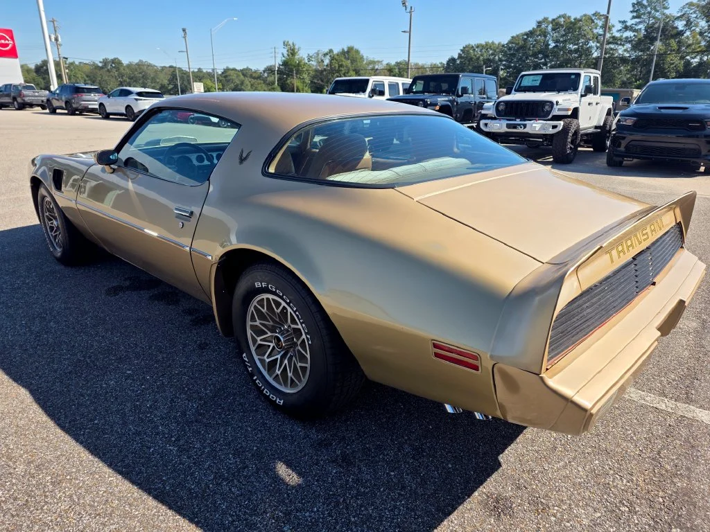 Used 1979 Gold Pontiac Trans Am image 3