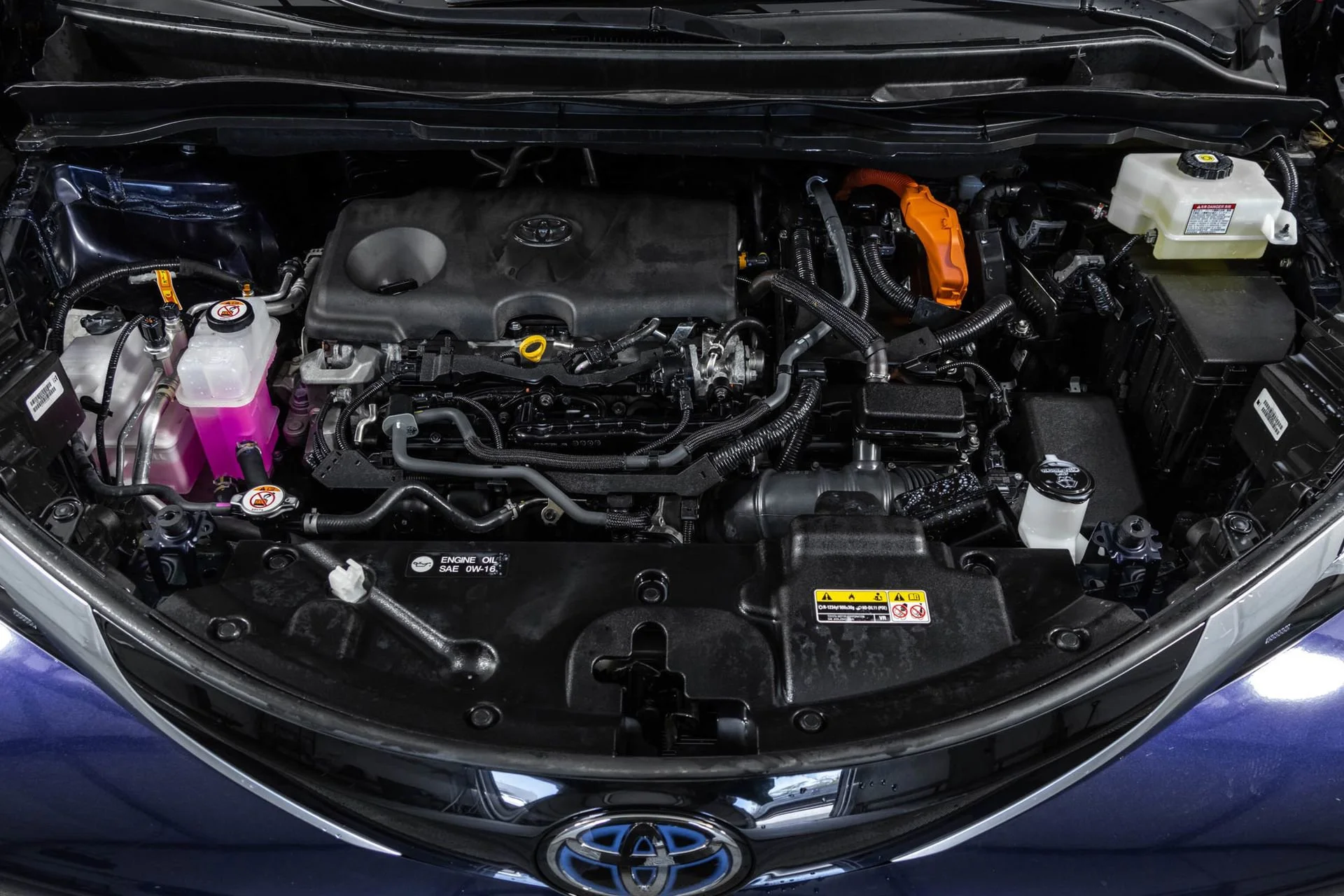 Used 2025 Blue Toyota Platinum image 49