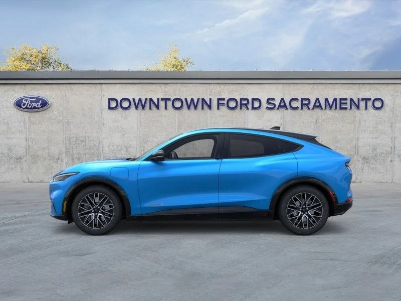 New 2024 Blue Ford Premium image 4