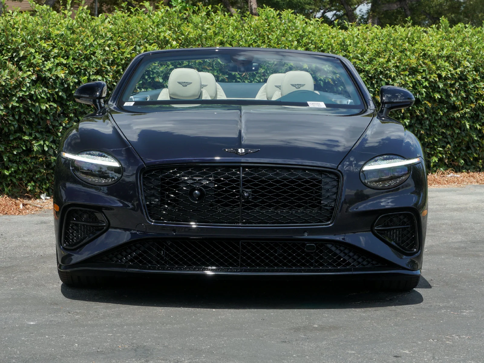 New 2026 Dark Sapphire Bentley GTC S image 9