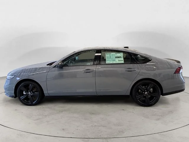 New 2026 Gray Honda Sport-L image 2