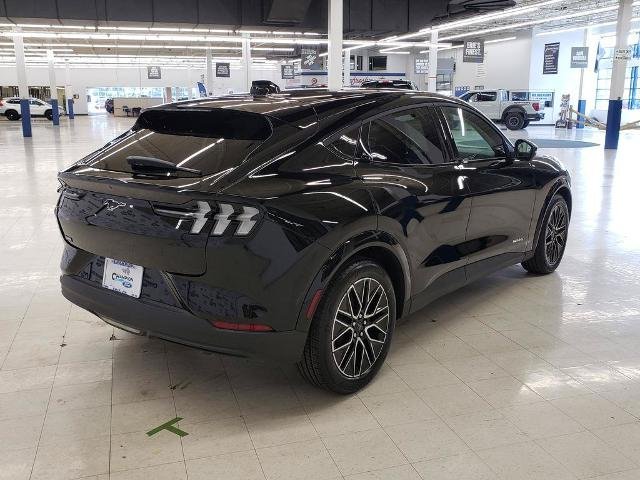 New 2026 Shadow Black Ford Premium image 8