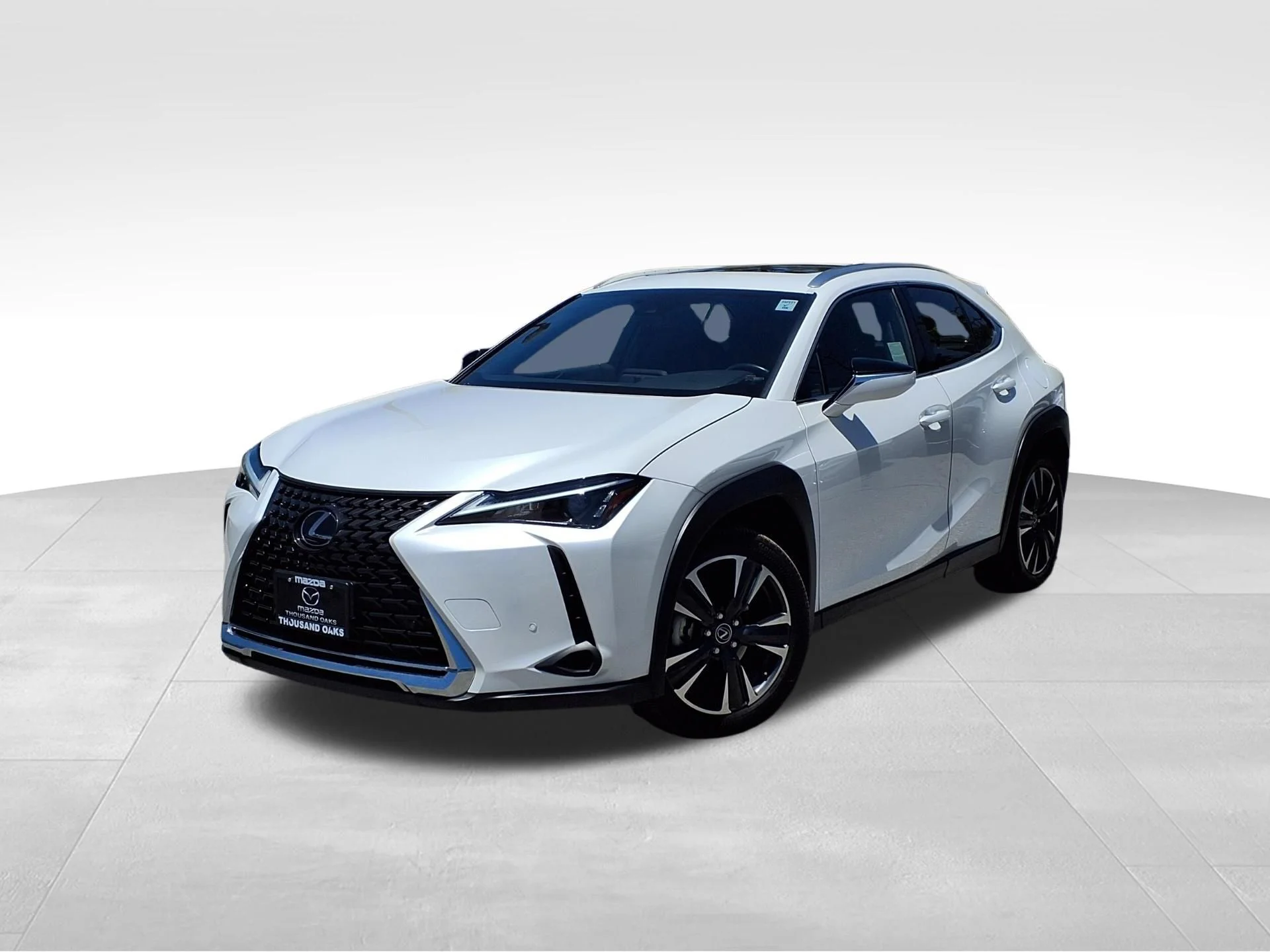 2024 Lexus UX 300h 250h's photo