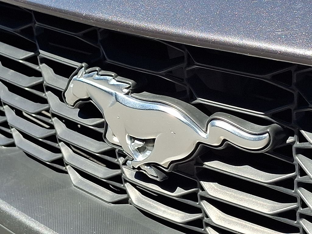 Used 2024 Gray Ford EcoBoost Premium image 30