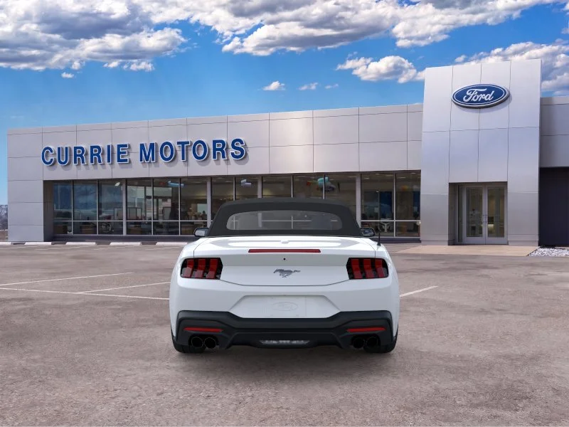 New 2026 Oxford White Ford EcoBoost image 5