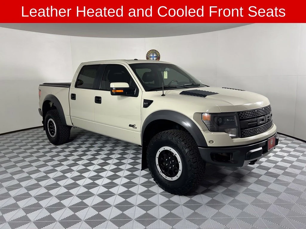 Used 2014  Ford SVT Raptor image 17