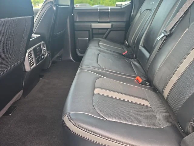 Used 2019 Black Ford Platinum image 14
