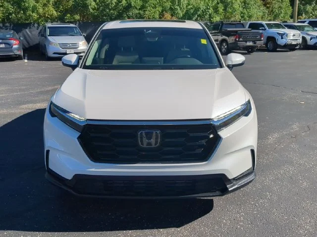 Used 2026 Platinum White Pearl Honda EX image 4