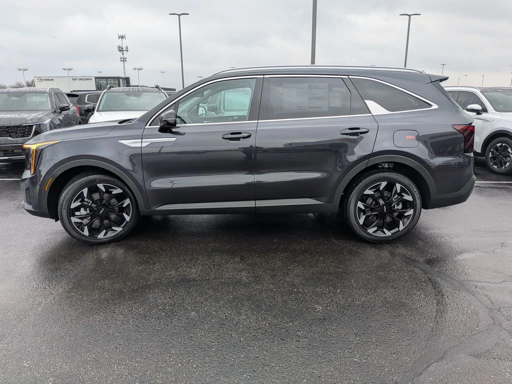 New 2026 Panthera Metal Kia EX image 4