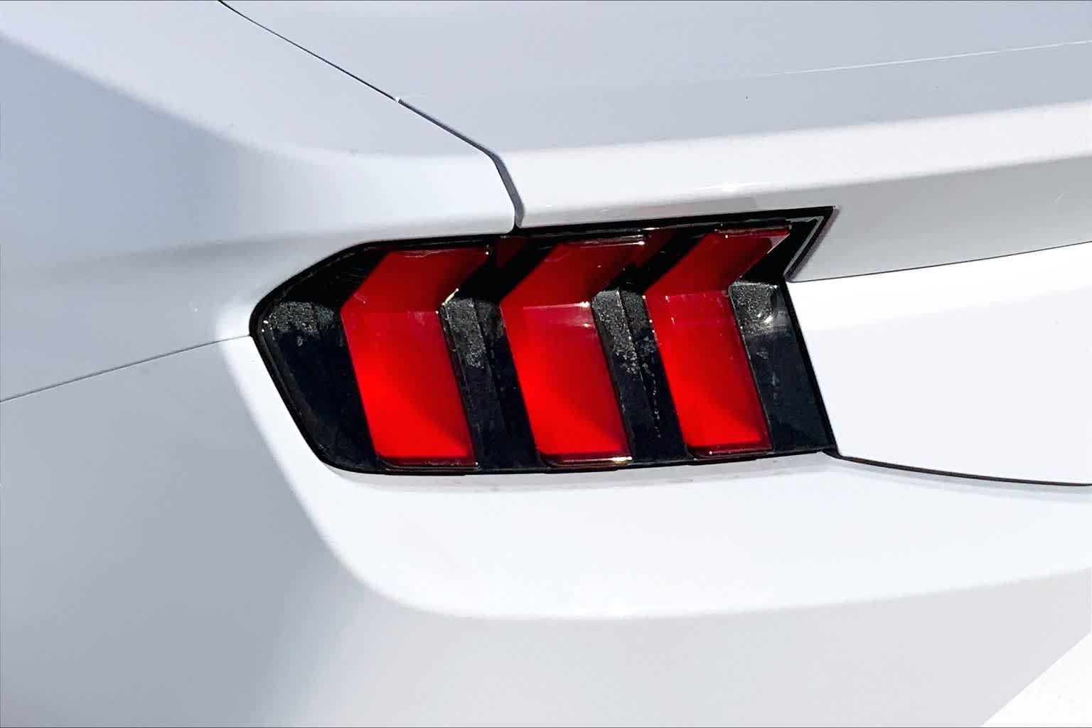 New 2026 Oxford White Ford EcoBoost® Fastback image 11