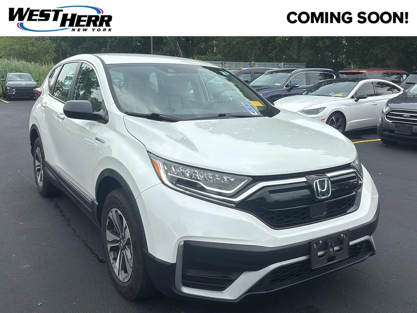Used 2020 Platinum White Pearl Honda LX image 1