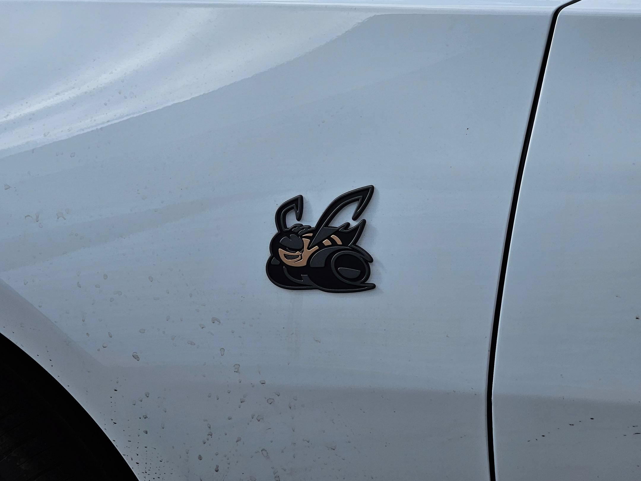 New 2026 White Knuckle Dodge Scat Pack image 24