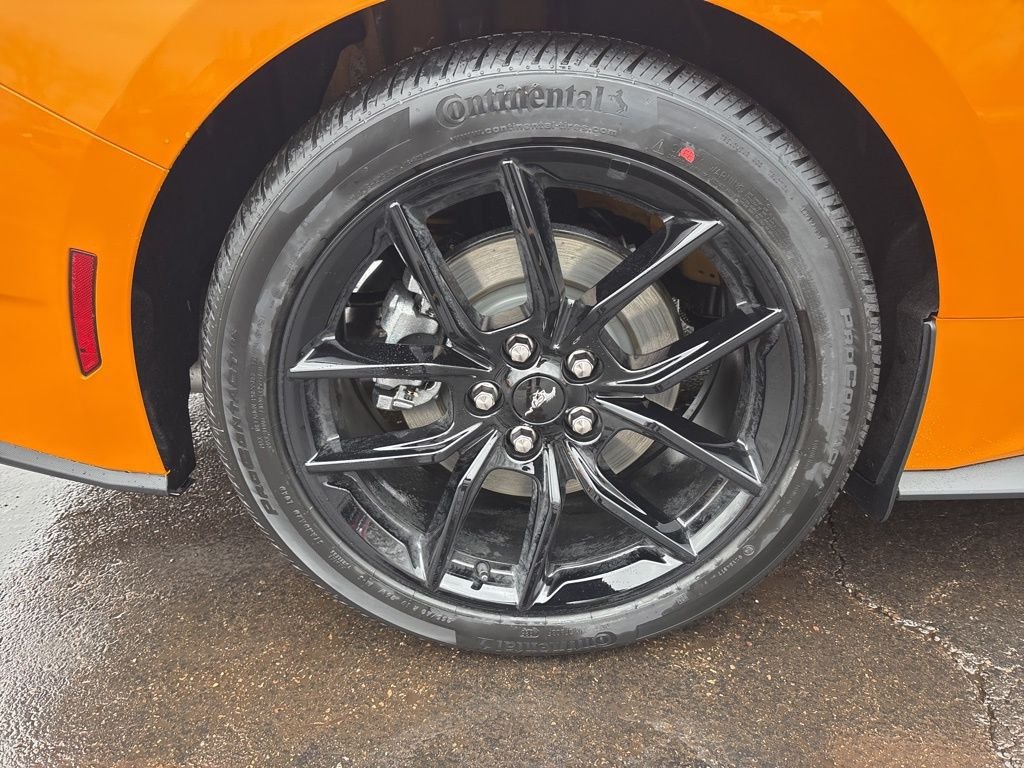 2026 Ford Mustang EcoBoost Fastback - Photo 13