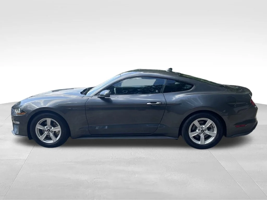 Used 2020 Gray Ford EcoBoost image 9
