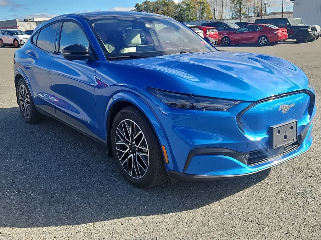 Used 2025 Velocity Blue Metallic Ford Premium image 3
