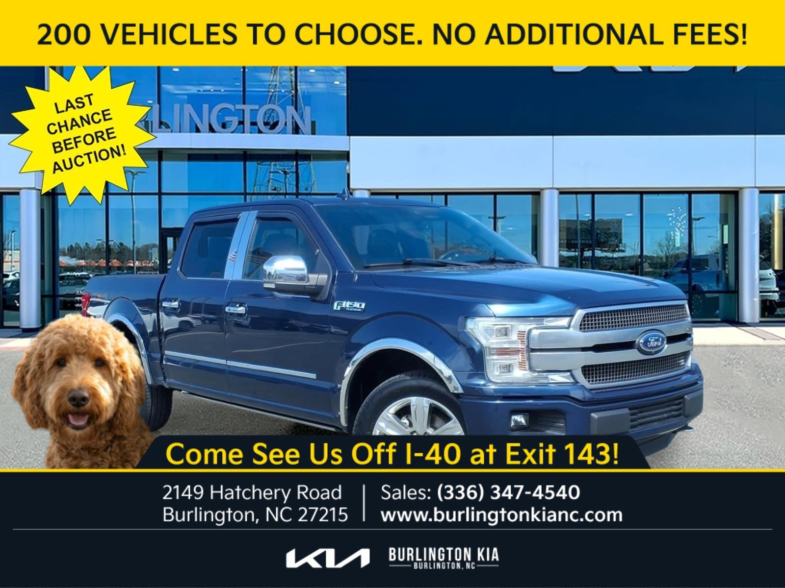 Used 2020 Blue Ford Platinum image 1