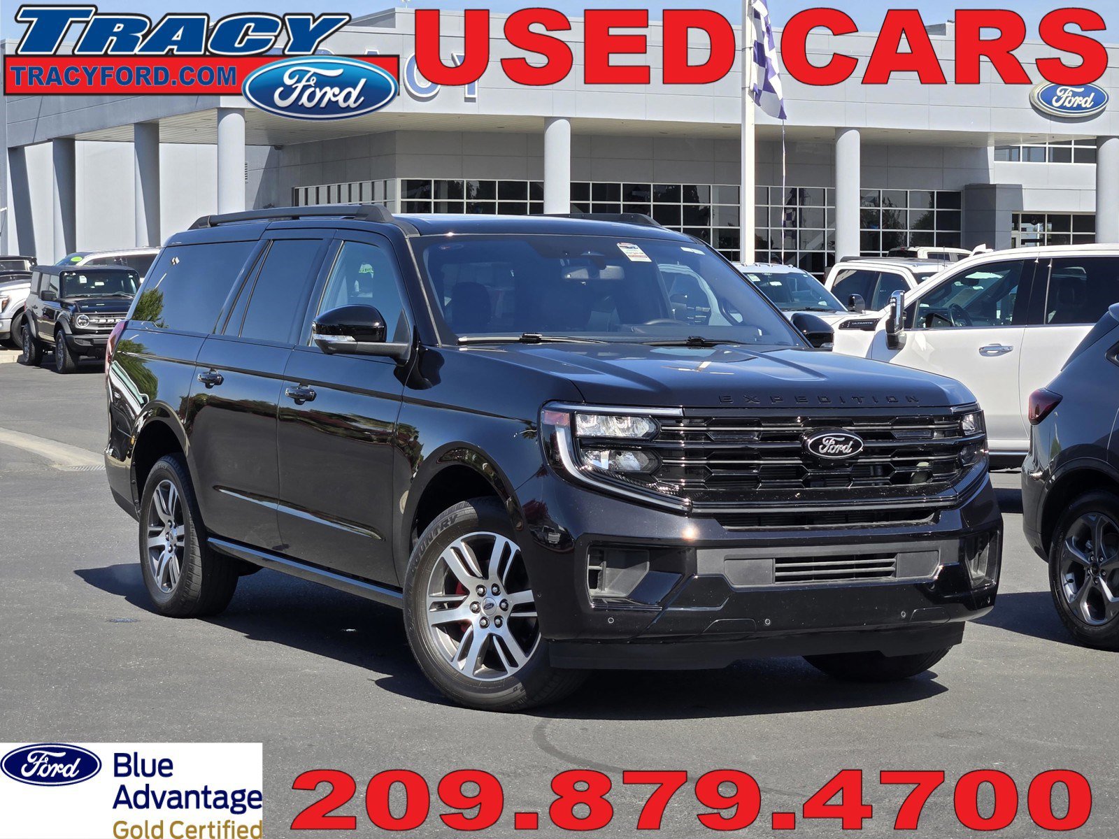 2025 Ford Expedition Platinum MAX 4x4's photo