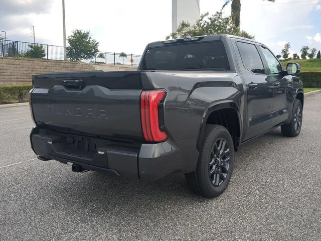 New 2026 Magnetic Gray Metallic Toyota Platinum image 4