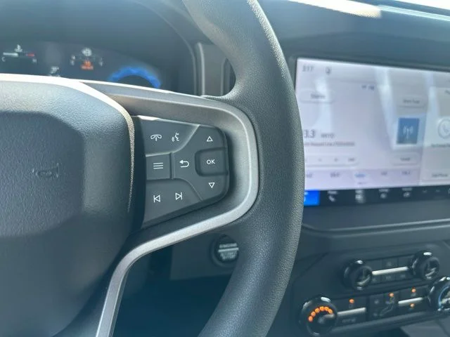 New 2026 Shadow Black Ford Base image 33