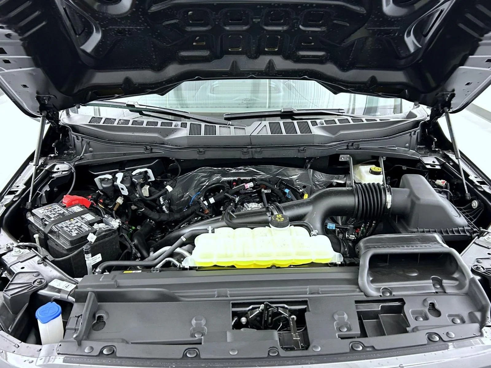 New 2026 Gray Ford STX image 25