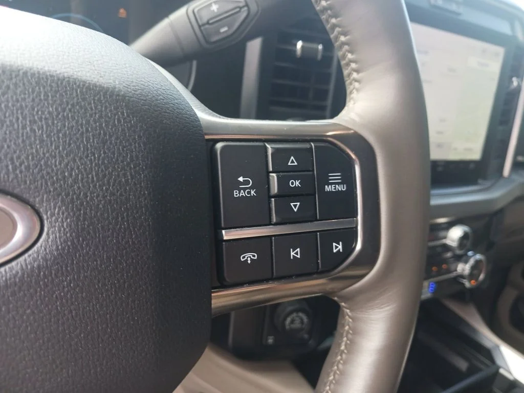Used 2025 Black Ford Platinum image 37